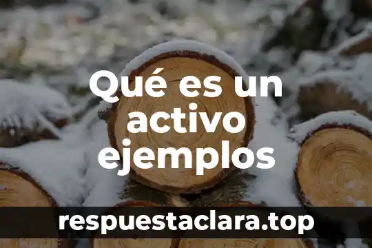 Qué es planta perenne ejemplos 3 Qué es un activo ejemplos