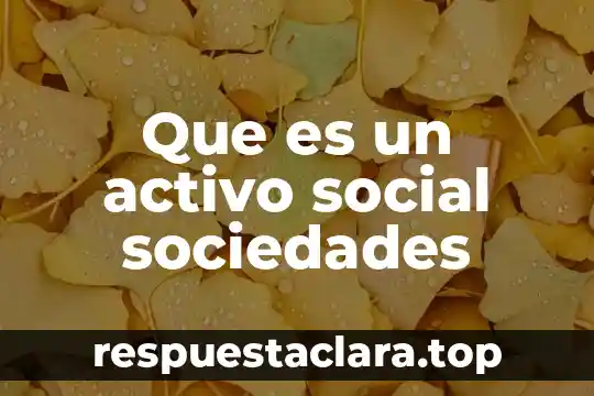 Que es un activo social sociedades