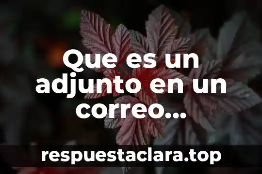 Que es un adjunto en un correo electronico define