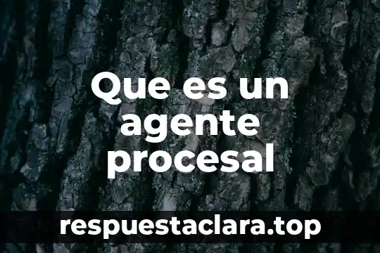 Que es un agente procesal