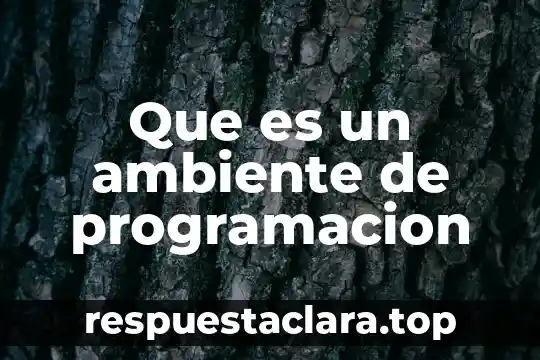 Que es el c++ en programacion 3 Que es un ambiente de programacion