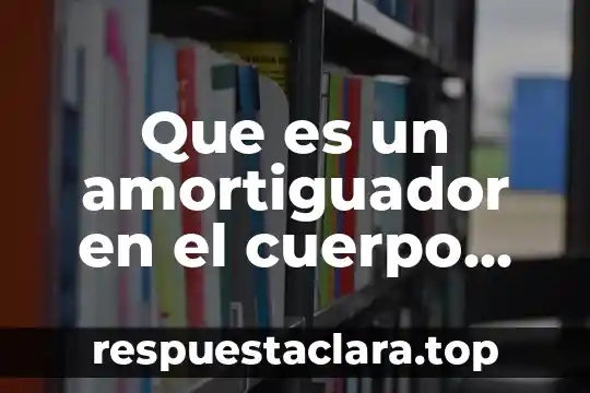 Que es un amortiguador en el cuerpo humano