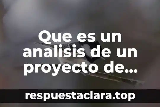 Que es un analisis de un proyecto de investigacion