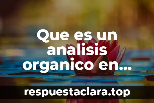 ¿Qué es más denso el agua o un compuesto orgánico? 6 Que es un analisis organico en informatica