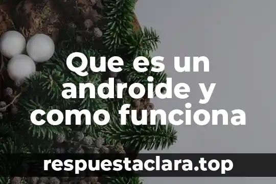 Que es un androide y como funciona