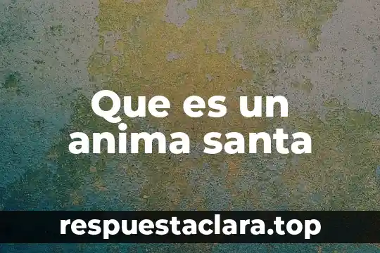 Que es aceptabilidad y fiabilidad filosofía 4 Que es un anima santa