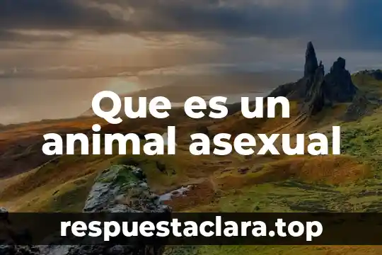 Que es un animal feral 3 Que es un animal asexual