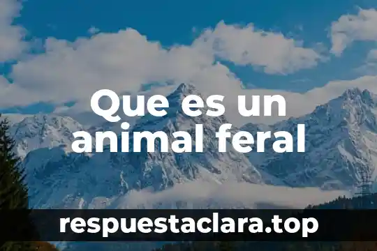 Animal que es como un camello 3 Que es un animal feral