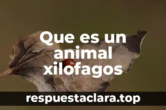 Que es un animal xilofagos