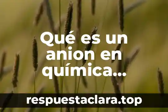 Qué es un anion en química concepto