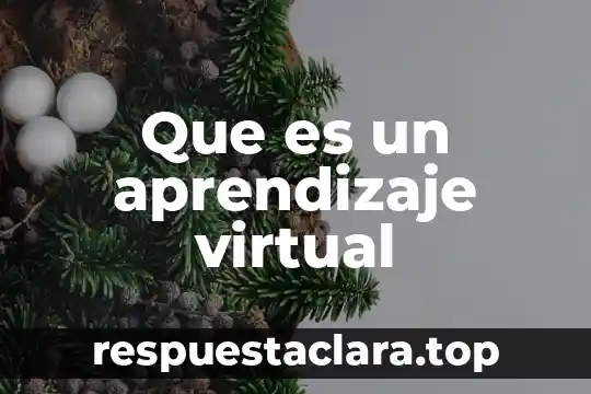 Que es un aprendizaje virtual