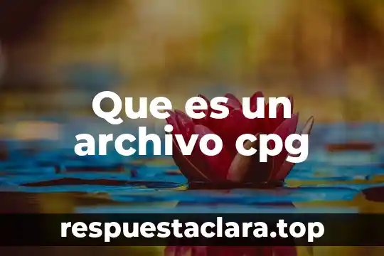 Que es anticipo de impuestos en contabilidad 3 Que es un archivo cpg