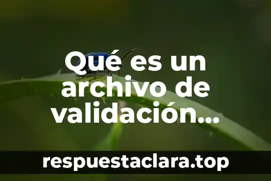 Qué es un archivo de validación jurídica