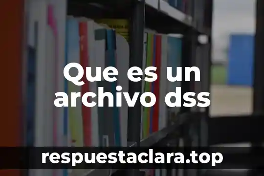Que es nombre de archivo 6 Que es un archivo dss