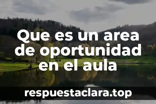 Que es un area de oportunidad en el aula