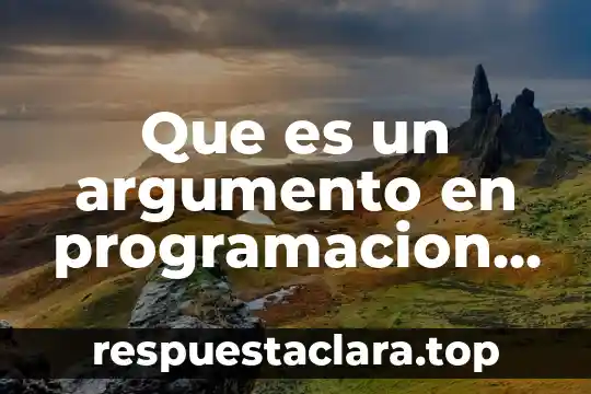 Que es un argumento en programacion para niños