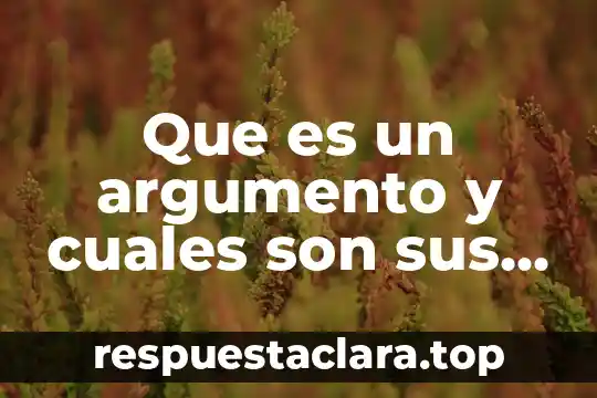 Que es un argumento y cuales son sus caracteristicas