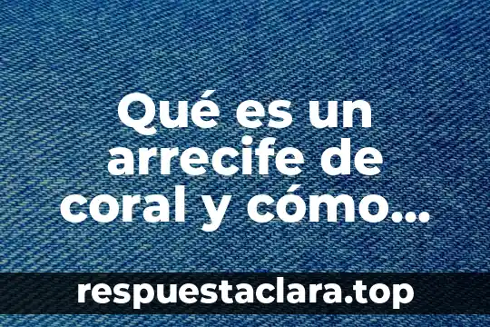Que es la identidad personal y como se forma 4 Qué es un arrecife de coral y cómo se forma