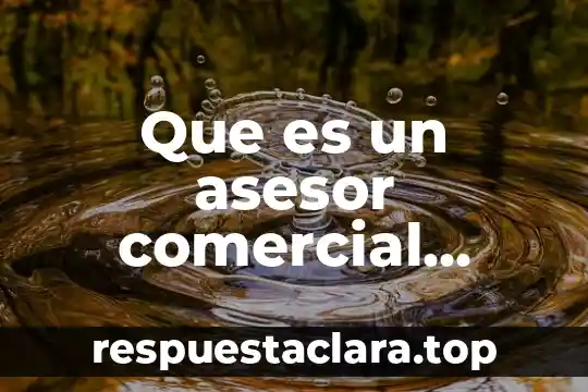 Que es un asesor comercial personal