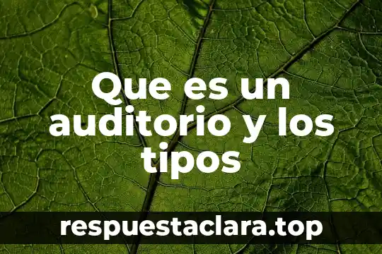 Que es un auditorio y los tipos