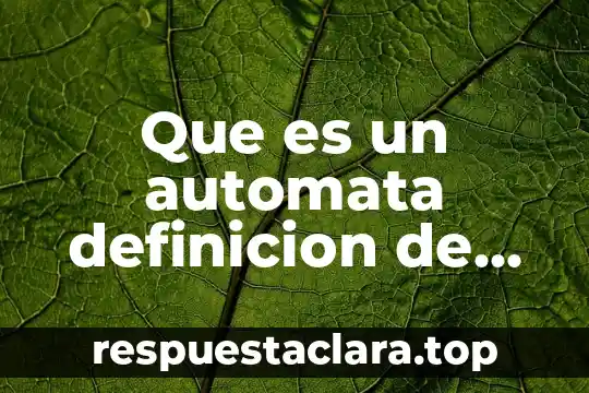 Que es un automata definicion de librod