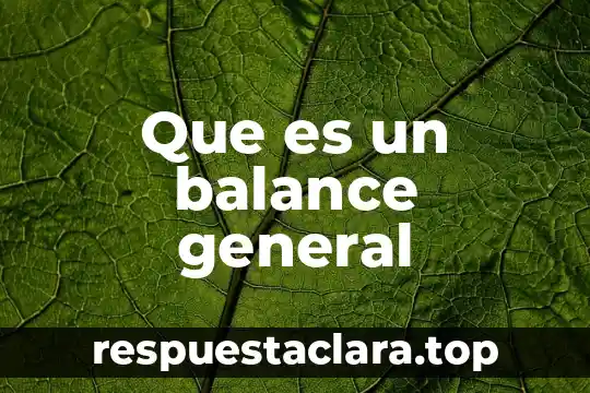 Que es un balance general