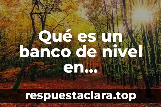 Qué es el nivel de confianza estadística 3 Qué es un banco de nivel en arquitectura