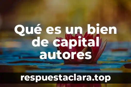 Qué es un bien de capital autores