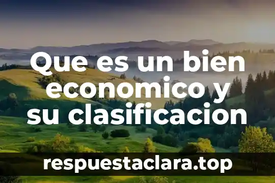 Que es un bien economico y su clasificacion