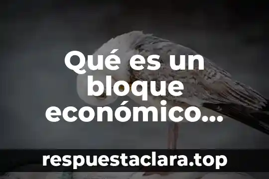Qué es un bloque económico capitalista