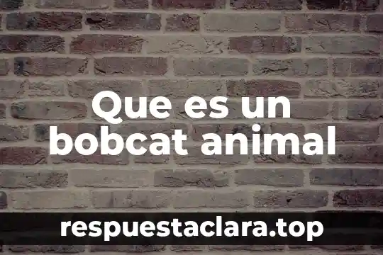 Que es el animal tapir 4 Que es un bobcat animal