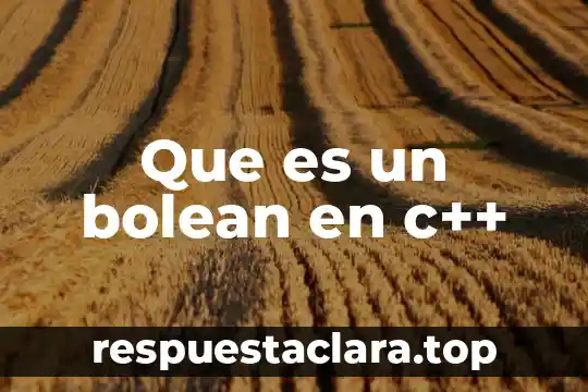 Que es un bolean en c++