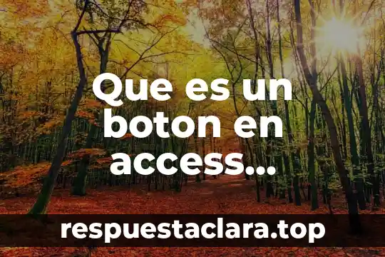 Que es un boton en access definicion