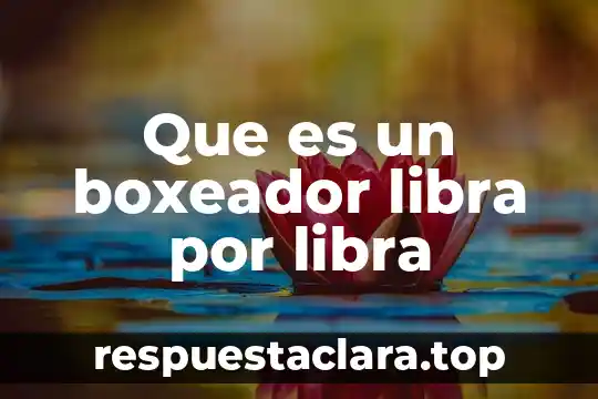 Que es un boxeador libra por libra