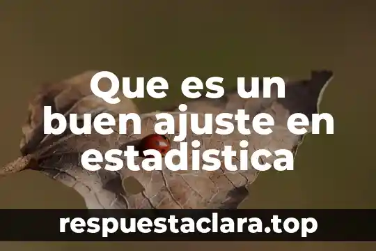 Que es un buen ajuste en estadistica