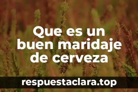 Que es un buen maridaje de cerveza