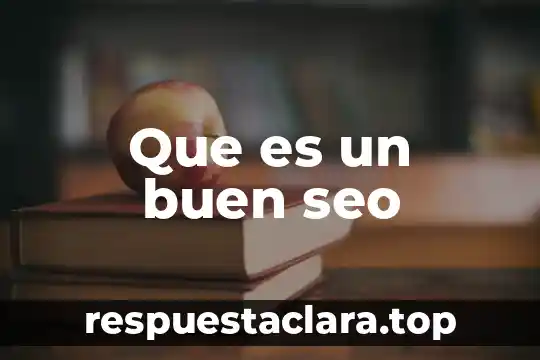 Que es un buen seo