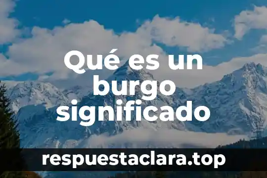 Que es un cuadro de texto en powerpoint 2010 7 Qu茅 es un burgo significado