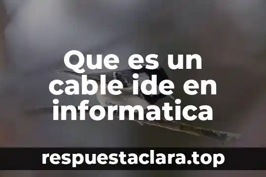 Que es un cable ide en informatica