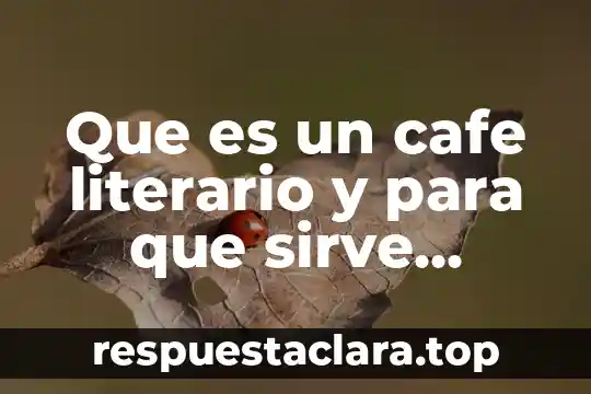 Rosa de los vientos que es y para que sirve 3 Que es un cafe literario y para que sirve yahoo
