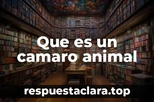 Que es un animal feral 5 Que es un camaro animal