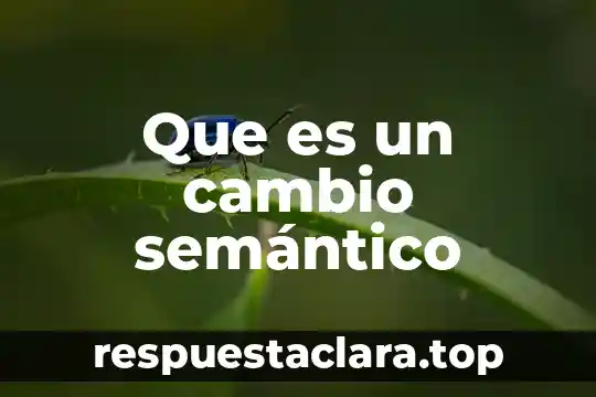 Qué es análisis semántico de la arquitectura 8 Que es un cambio semántico
