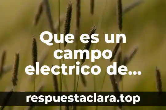 Que es un campo electrico de una carga puntual