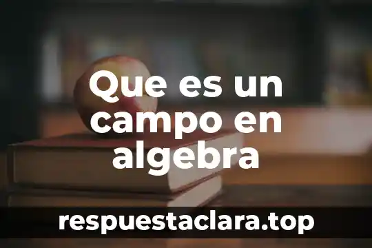 Que es un campo en algebra