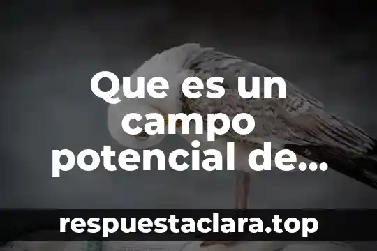 Que es ser mexicano para mi 4 Que es un campo potencial de velocidad