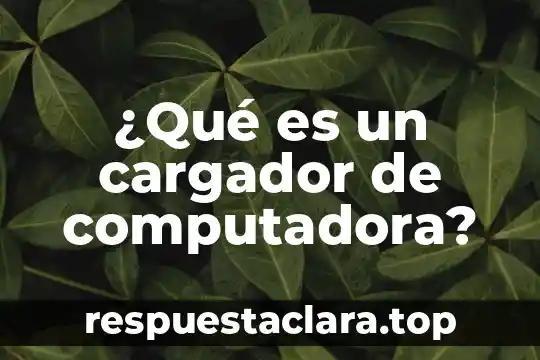 Diagra de que es la computadora 6 ¿Qué es un cargador de computadora?