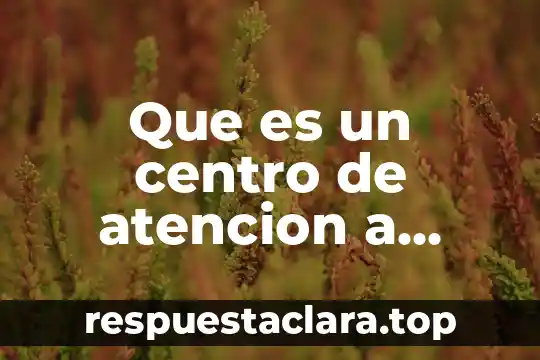 Que es un centro de atencion a personas mayores