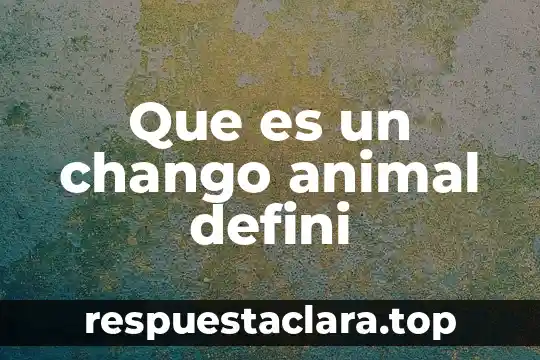 Que es un chango animal defini