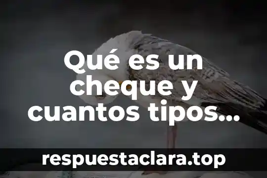 Qué es un cheque y cuantos tipos de cheque hay