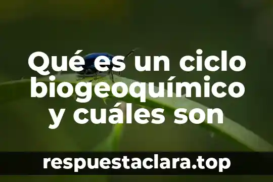 Qué es un ciclo biogeoquímico y cuáles son